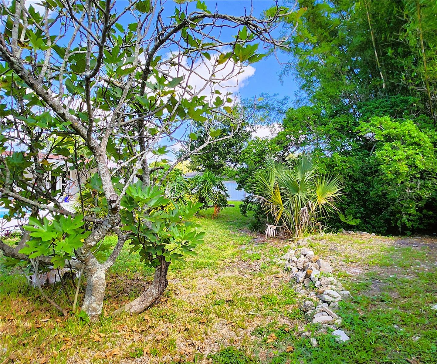 4711 26th Ave W Bradenton FL 34209: SFH, FLOOD ZONE X! NO HOA, LOT: 102W x 135D, Fully Fenced-in, 3/2, 1656sf, POOL, Propane Gas Fireplace and Water Heater, City Utilities, New Long-Lasting Rubber Mulch