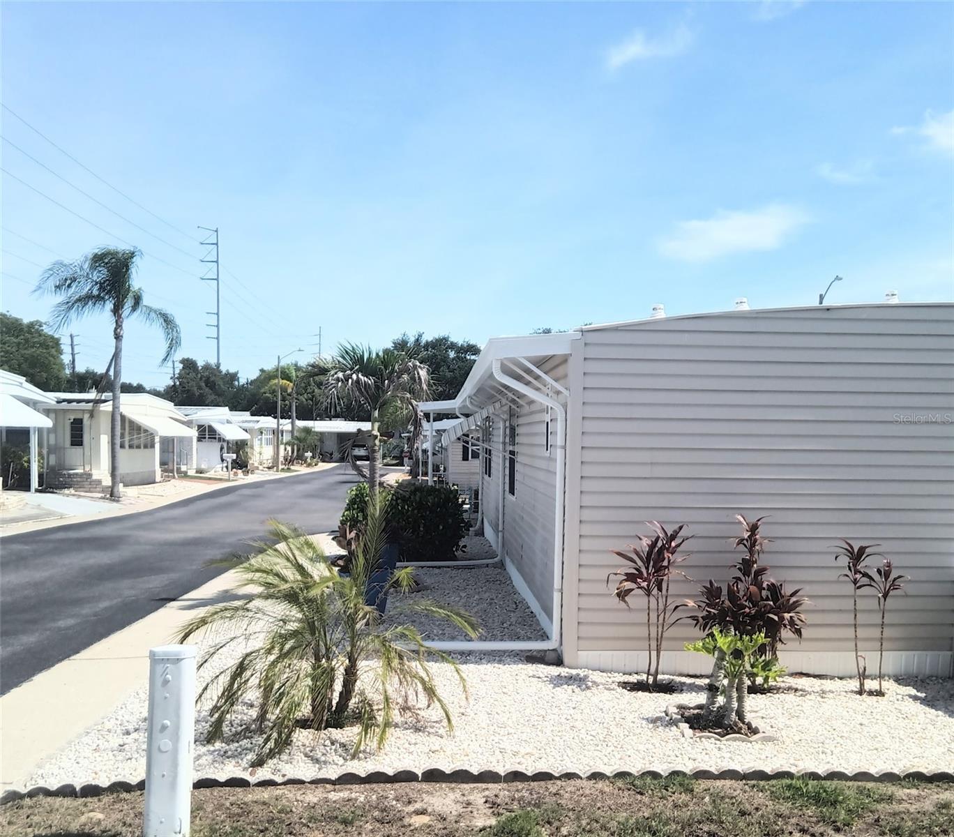 3301 ALT 19, #293, Dunedin, FL 34698