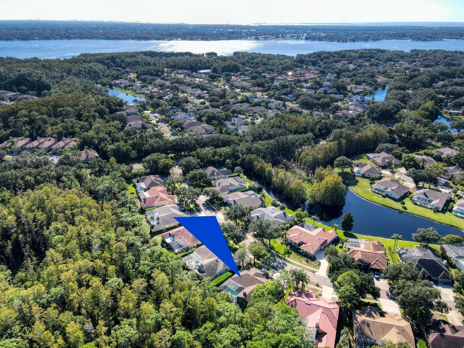 4175 KIRKALDY DRIVE, Palm Harbor, FL 34685