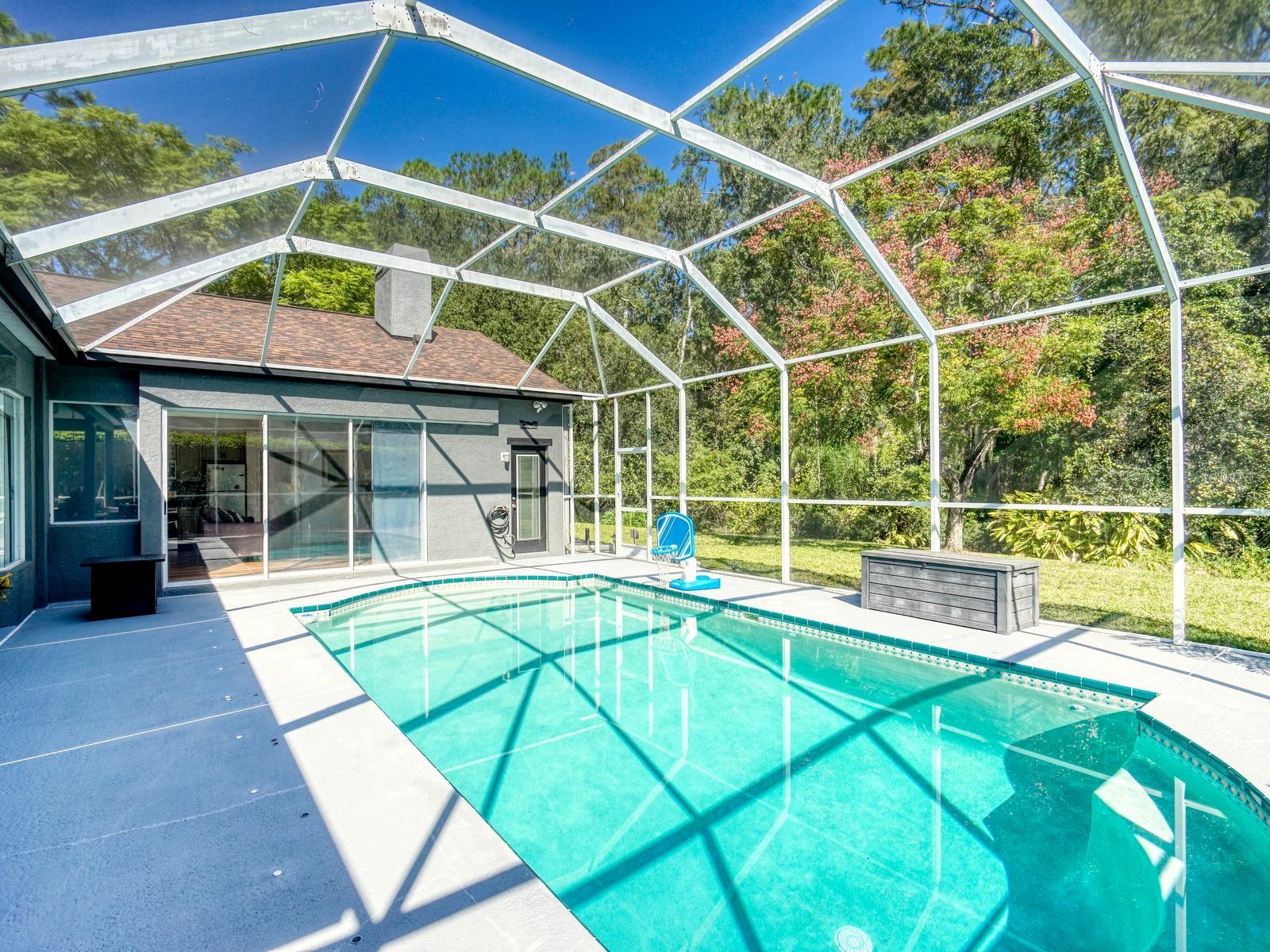 4175 KIRKALDY DRIVE, Palm Harbor, FL 34685