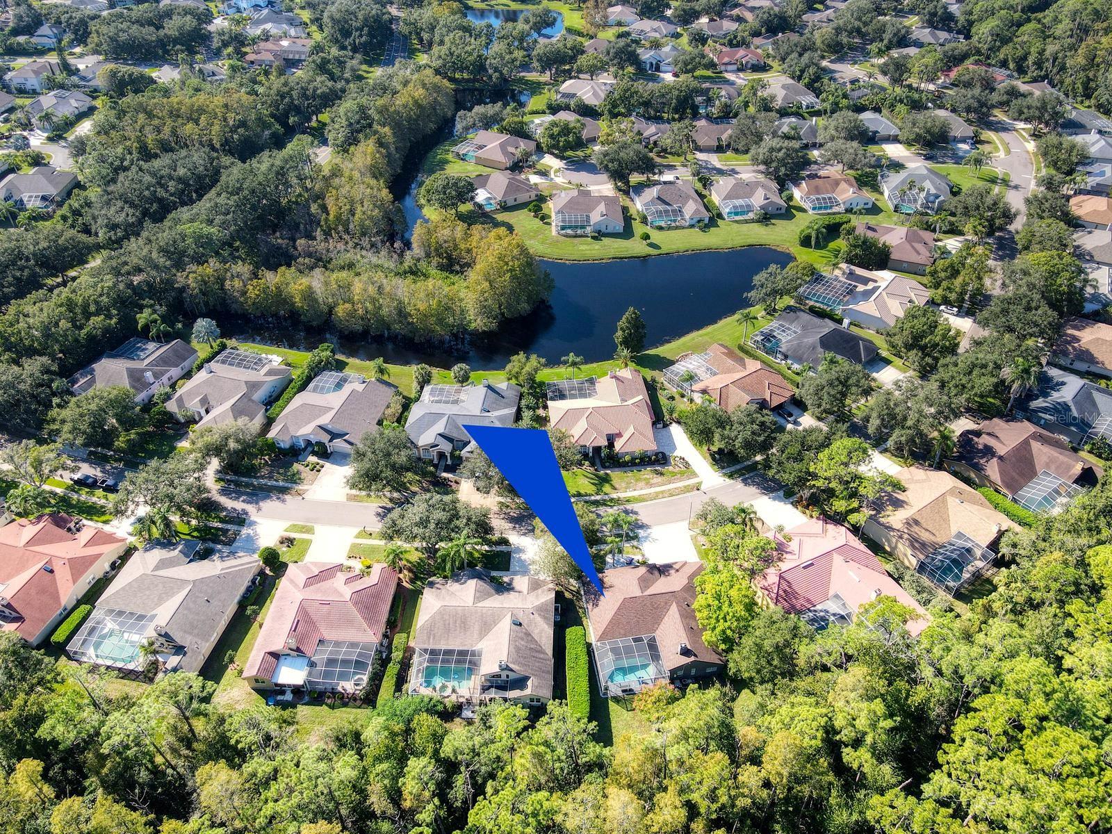 4175 KIRKALDY DRIVE, Palm Harbor, FL 34685