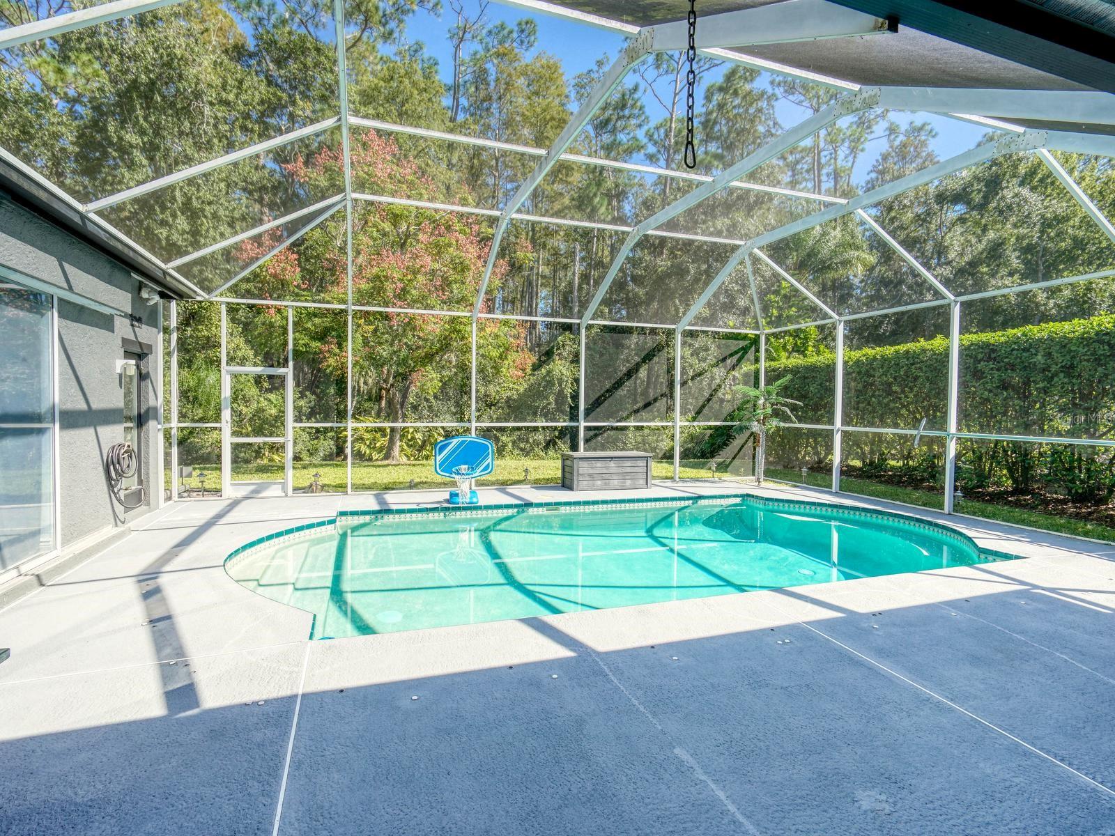 4175 KIRKALDY DRIVE, Palm Harbor, FL 34685