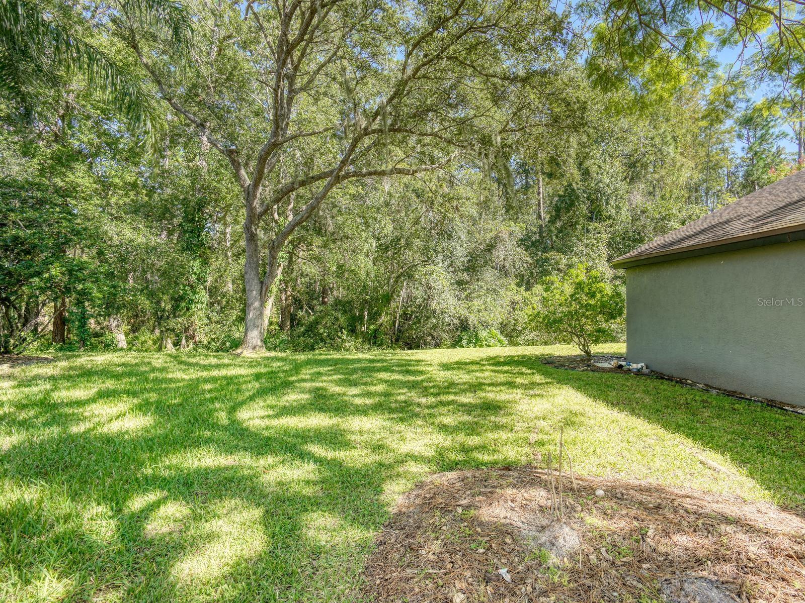 4175 KIRKALDY DRIVE, Palm Harbor, FL 34685