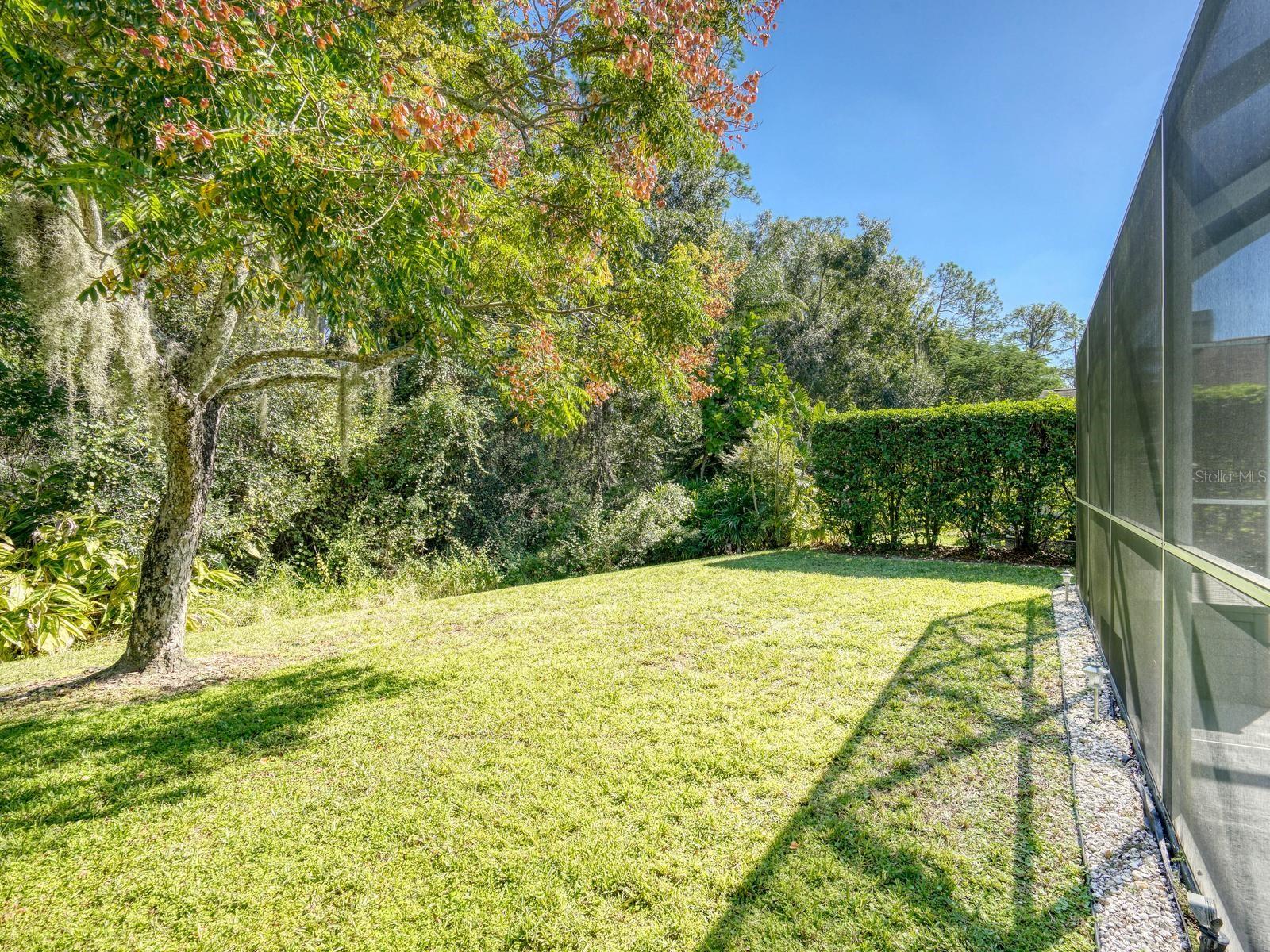 4175 KIRKALDY DRIVE, Palm Harbor, FL 34685