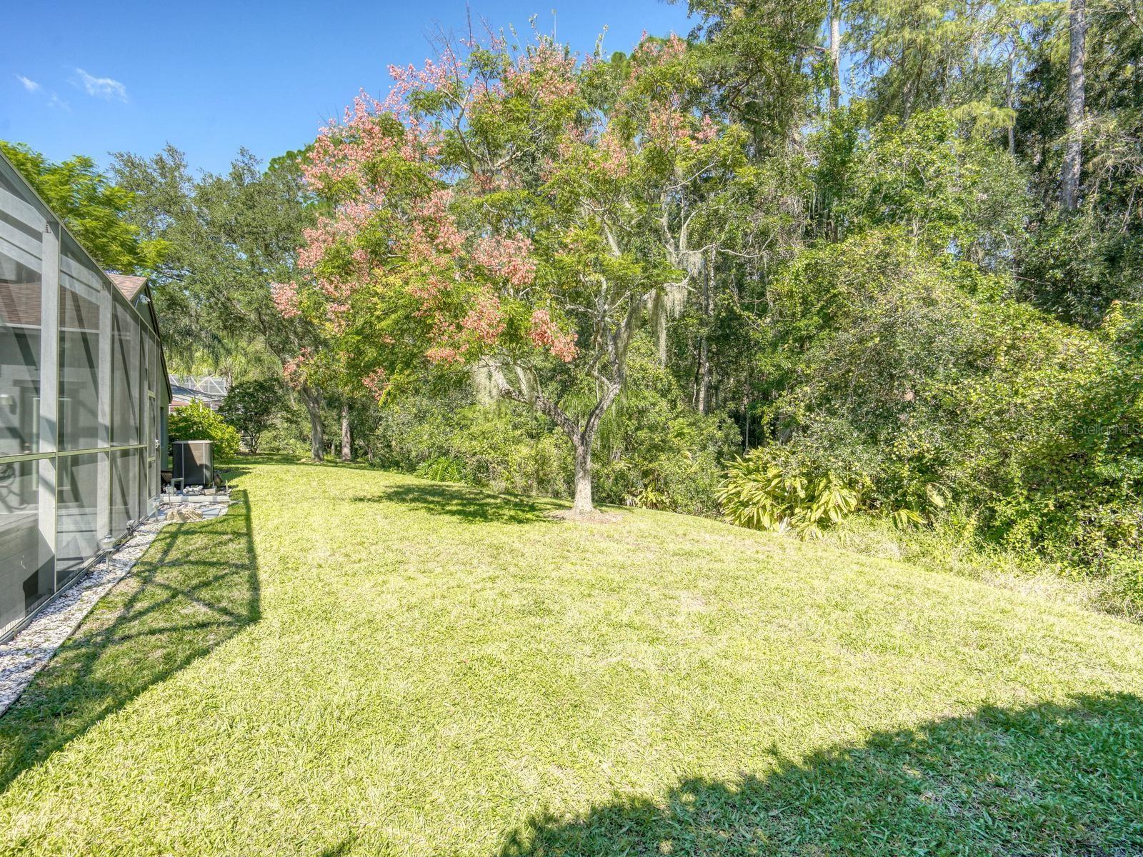 4175 KIRKALDY DRIVE, Palm Harbor, FL 34685