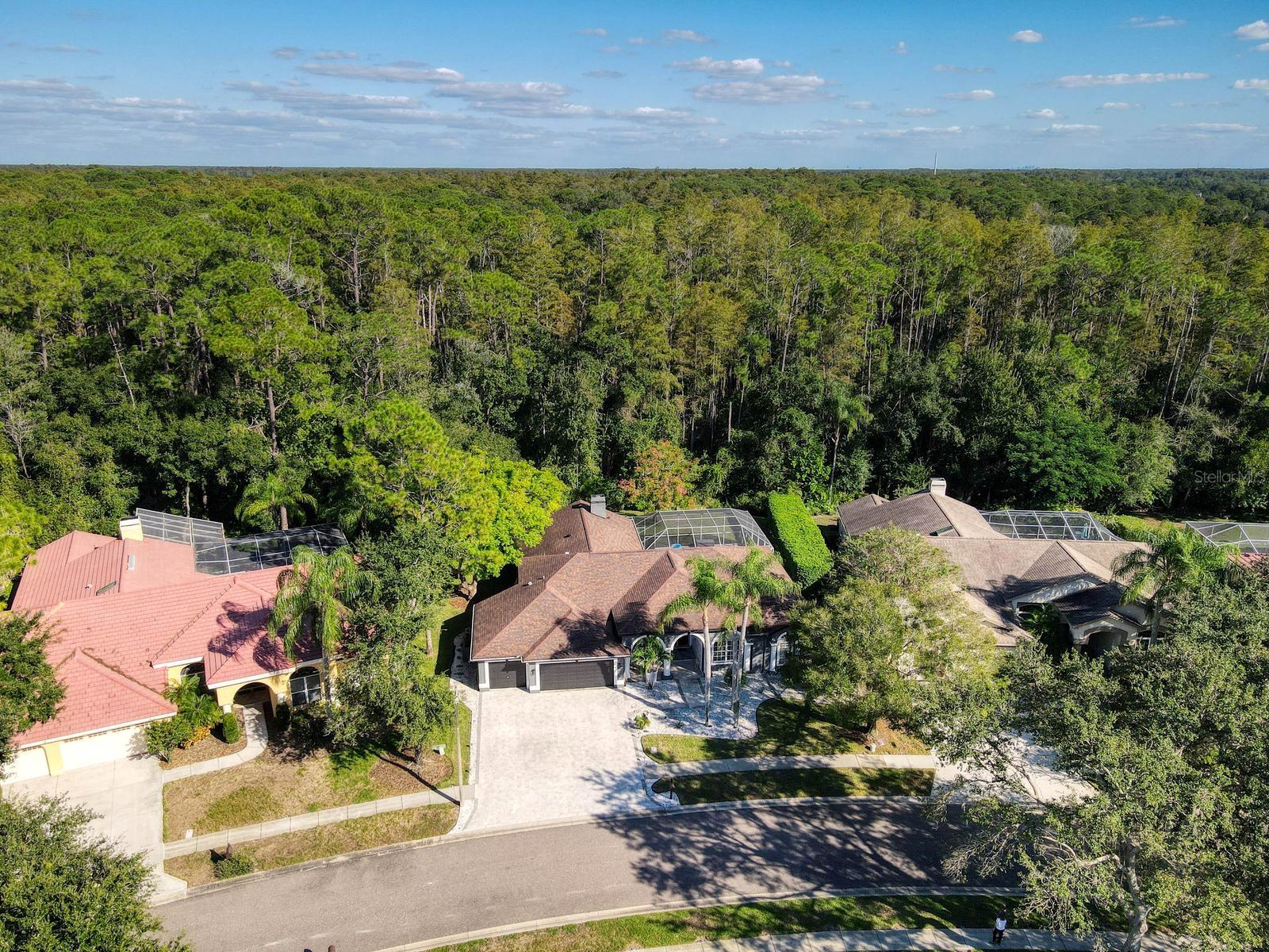 4175 KIRKALDY DRIVE, Palm Harbor, FL 34685
