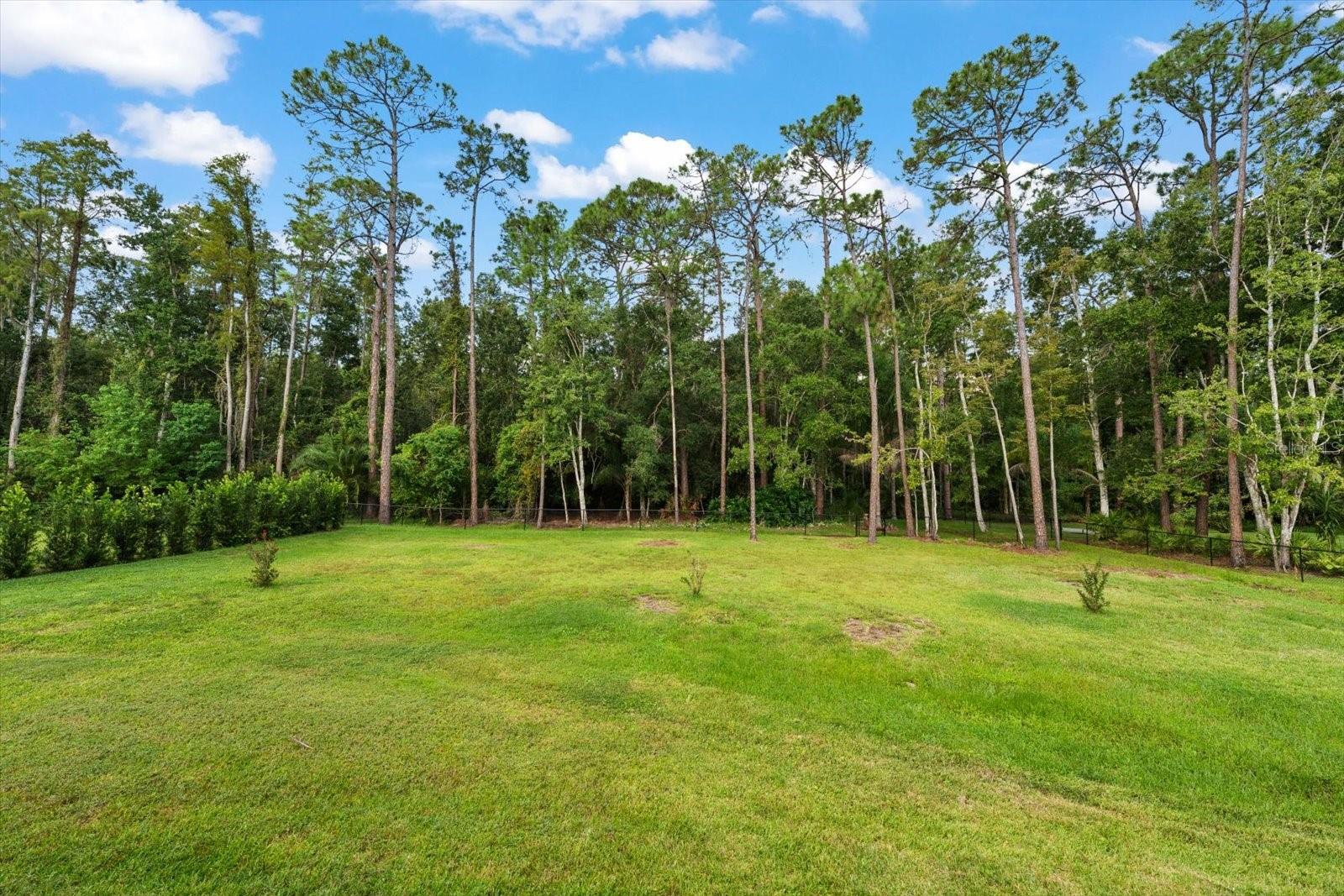 10706 ALICO PASS, New Port Richey, FL 34655