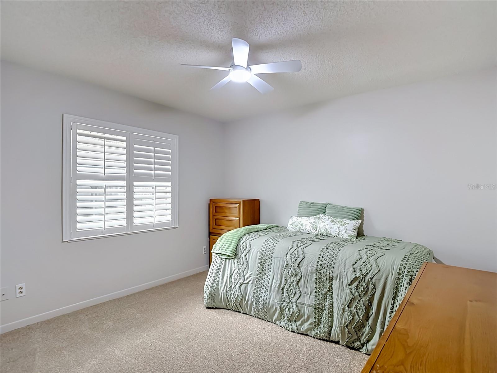 12920 N ALBANY AVENUE, Tampa, FL 33612