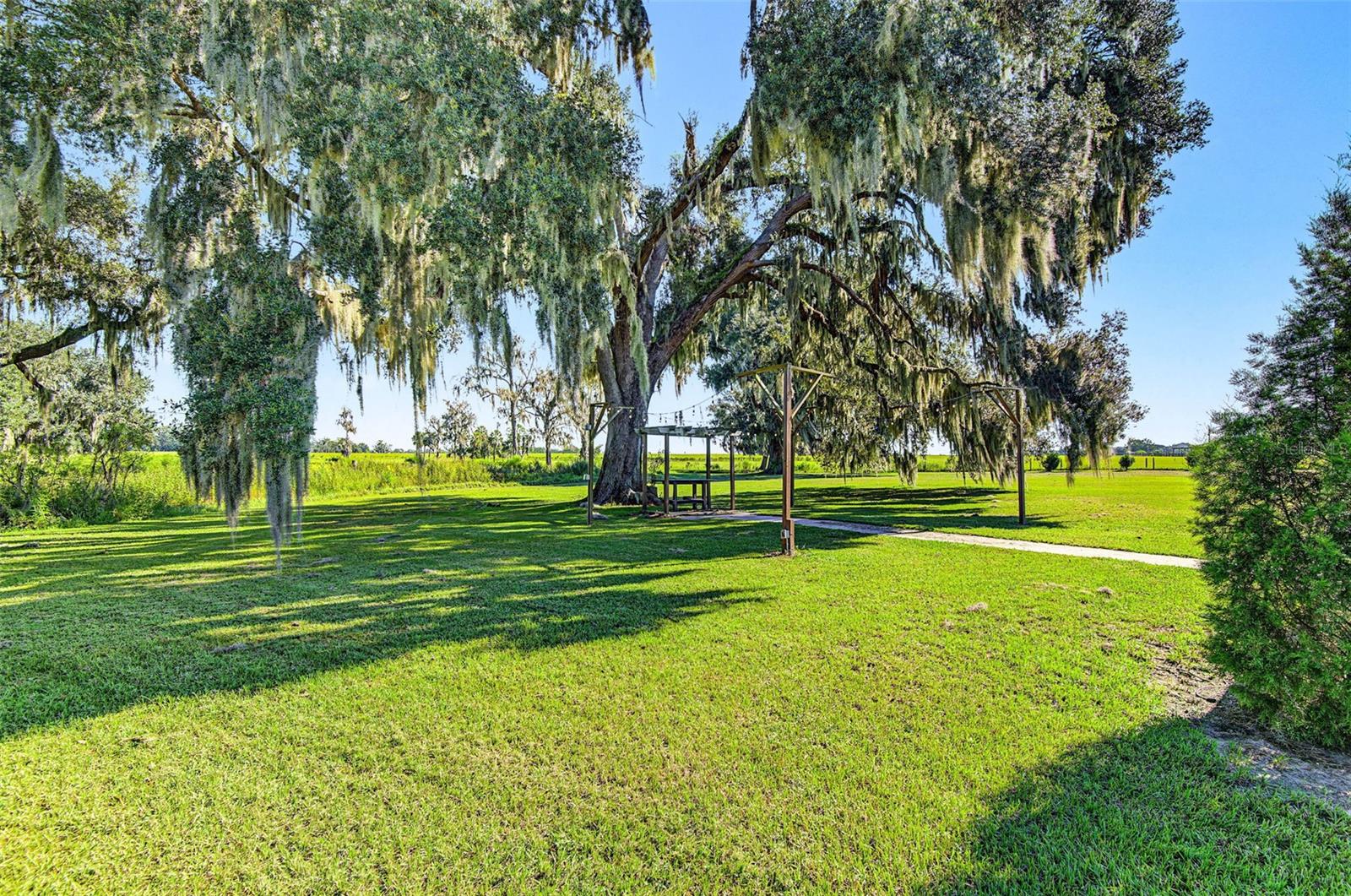 15300 LAKE IOLA ROAD, Dade City, FL 33523