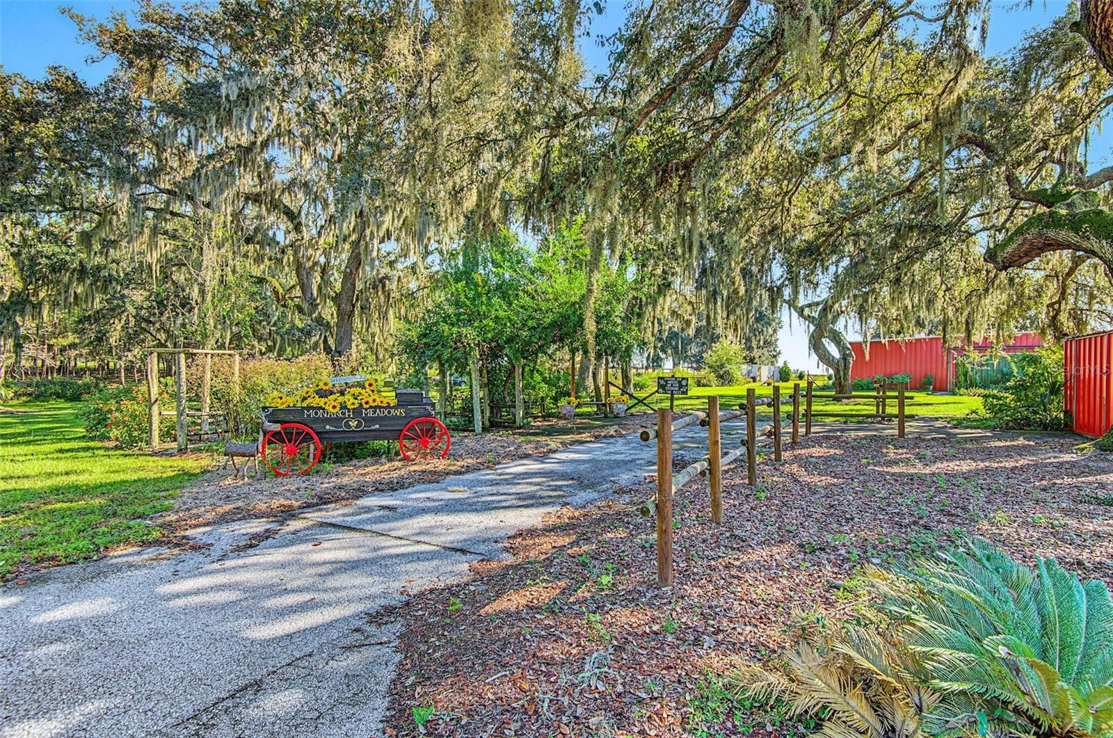 15300 LAKE IOLA ROAD, Dade City, FL 33523