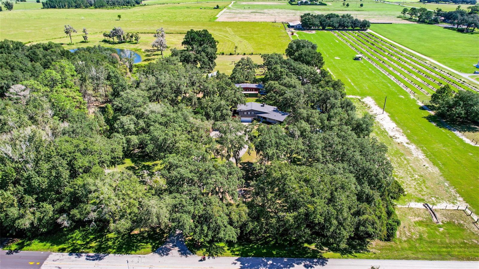15300 LAKE IOLA ROAD, Dade City, FL 33523