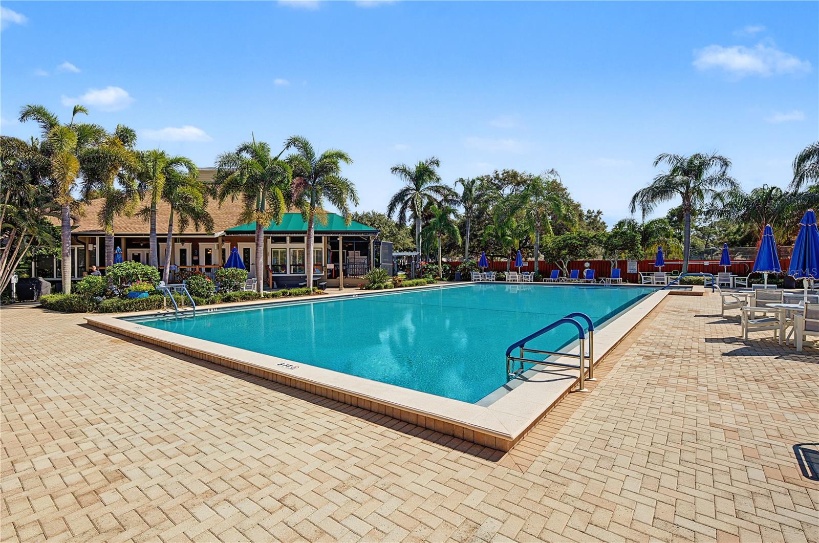 1206 S POINTE ALEXIS DRIVE, Tarpon Springs, FL 34689