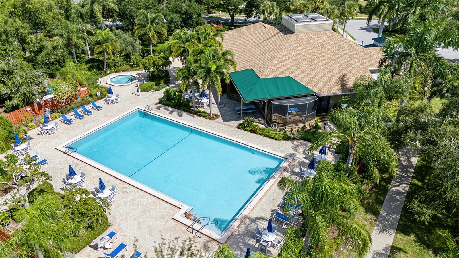 1206 S POINTE ALEXIS DRIVE, Tarpon Springs, FL 34689