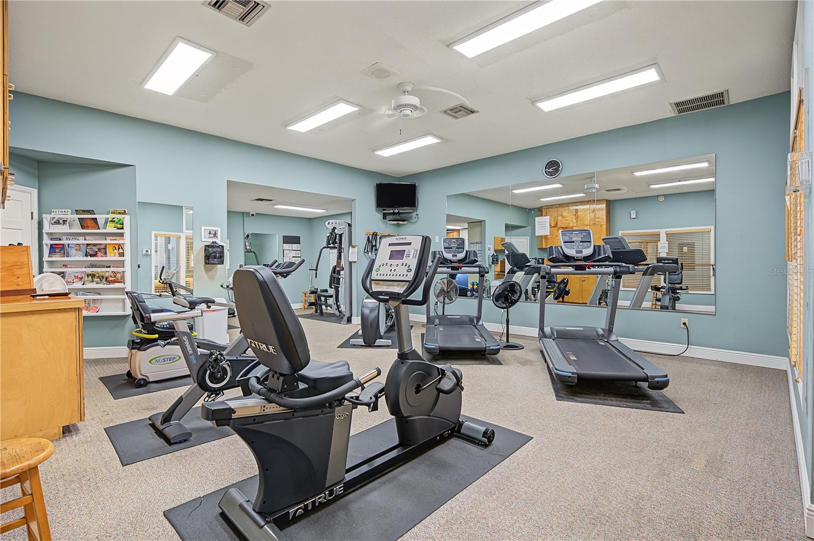 1206 S POINTE ALEXIS DRIVE, Tarpon Springs, FL 34689