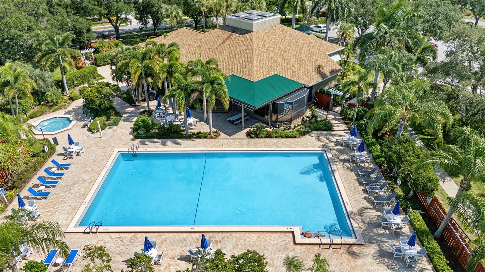 1206 S POINTE ALEXIS DRIVE, Tarpon Springs, FL 34689