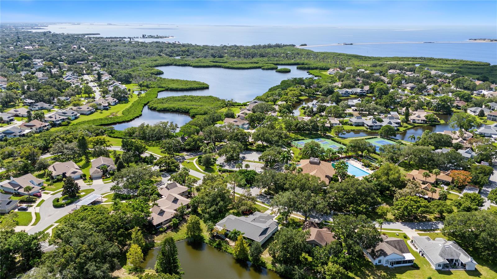 1206 S POINTE ALEXIS DRIVE, Tarpon Springs, FL 34689
