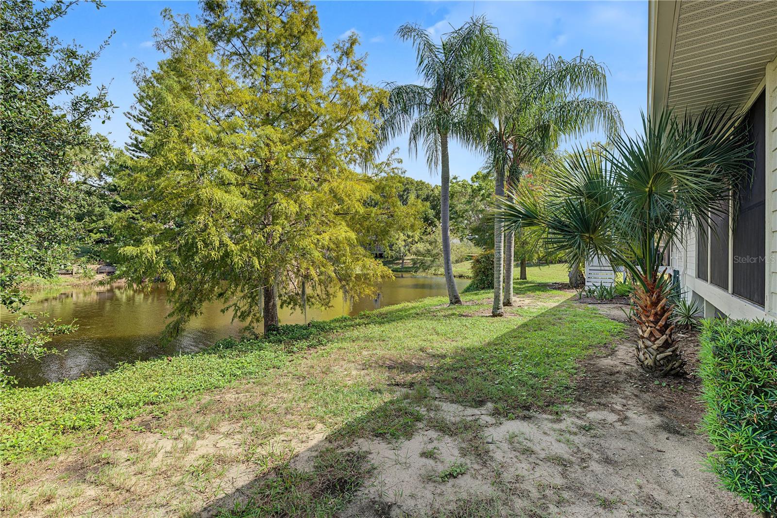 1206 S POINTE ALEXIS DRIVE, Tarpon Springs, FL 34689