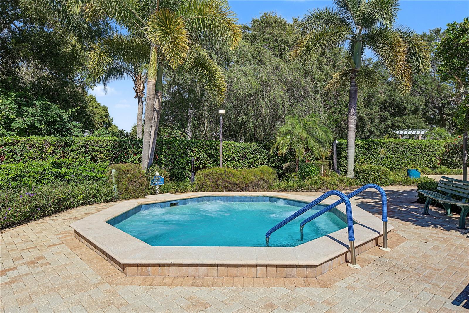1206 S POINTE ALEXIS DRIVE, Tarpon Springs, FL 34689