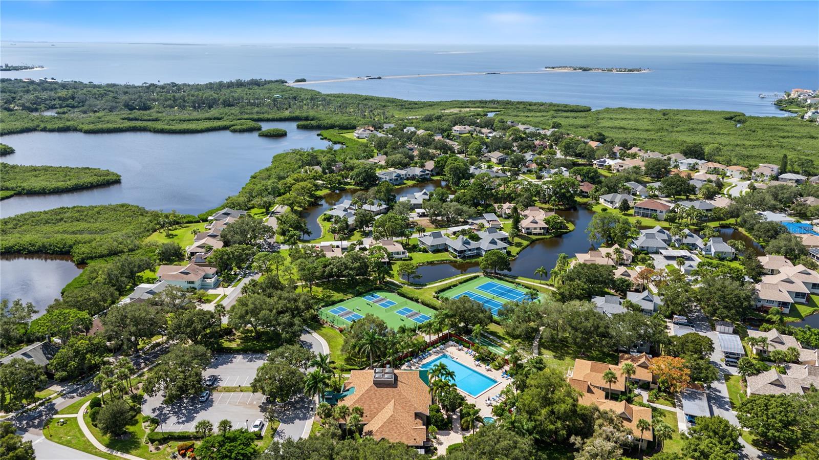 1206 S POINTE ALEXIS DRIVE, Tarpon Springs, FL 34689