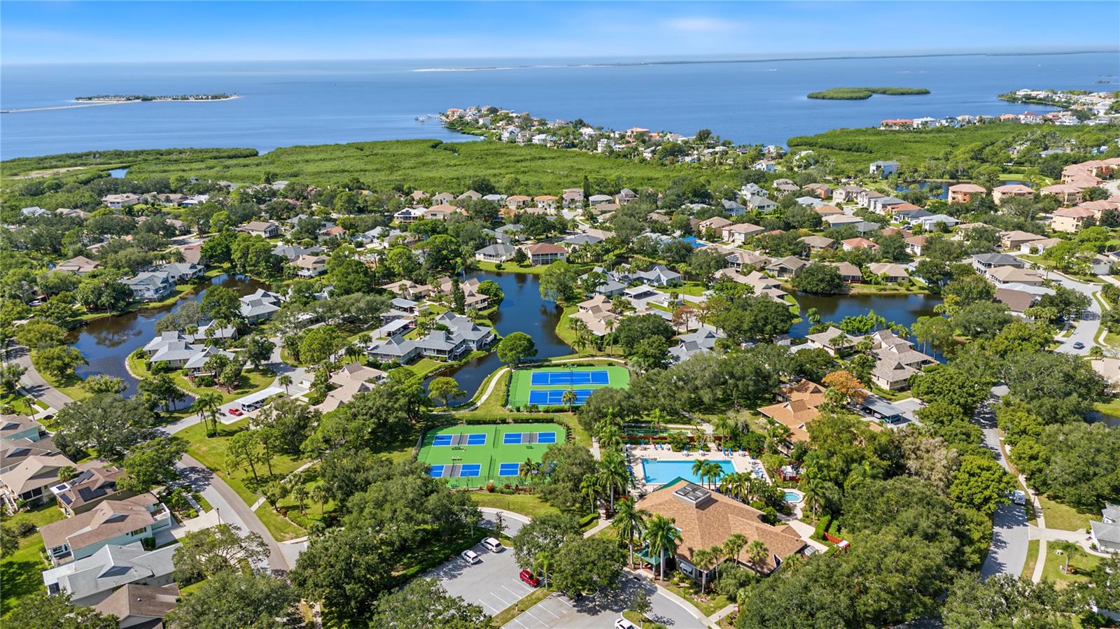 1206 S POINTE ALEXIS DRIVE, Tarpon Springs, FL 34689