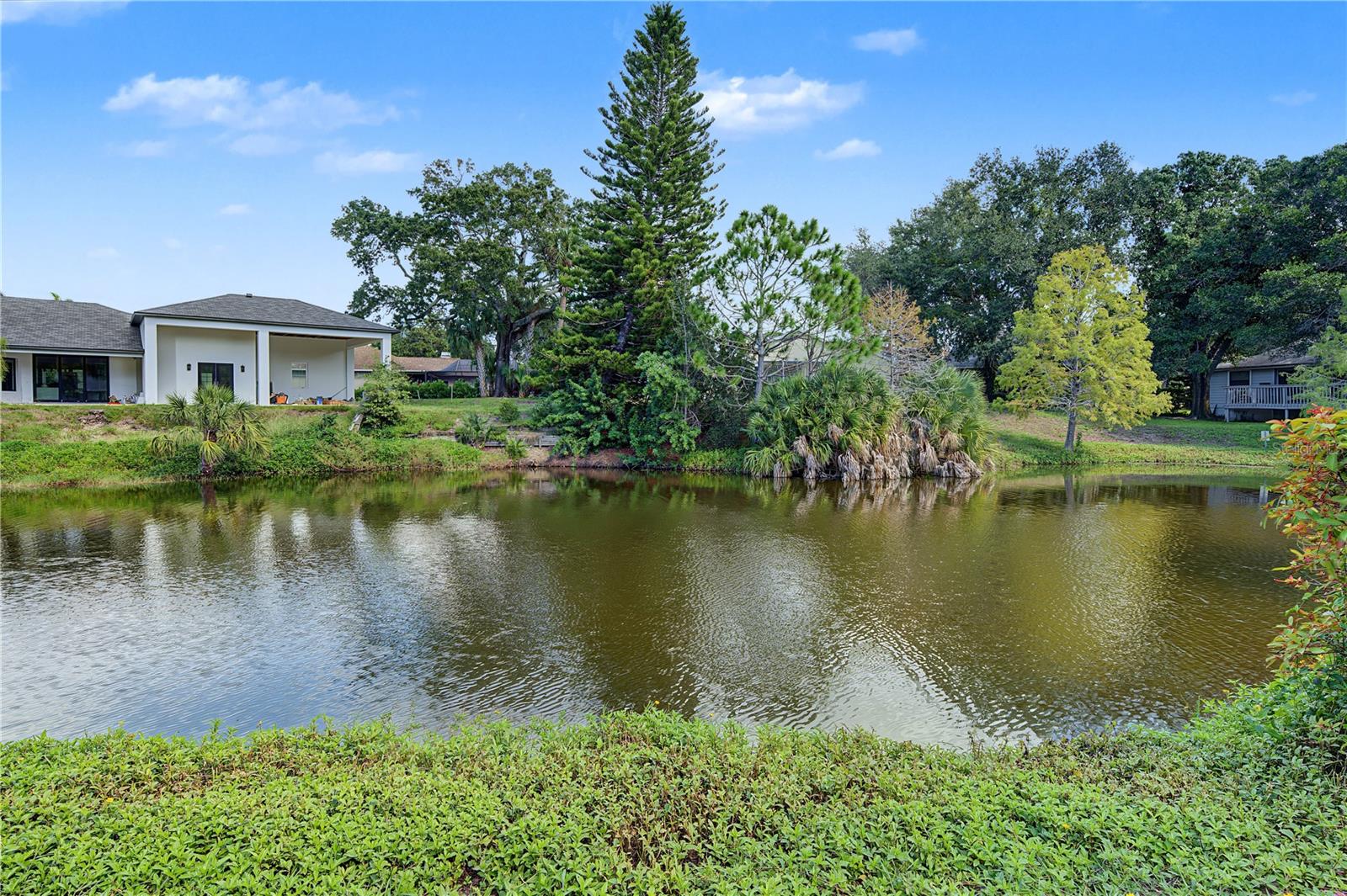 1206 S POINTE ALEXIS DRIVE, Tarpon Springs, FL 34689