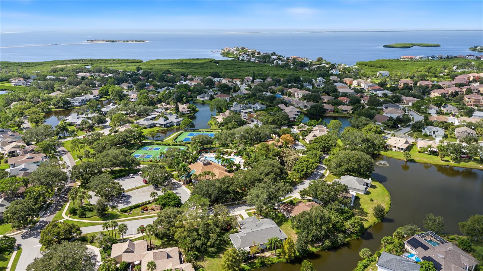 1206 S POINTE ALEXIS DRIVE, Tarpon Springs, FL 34689