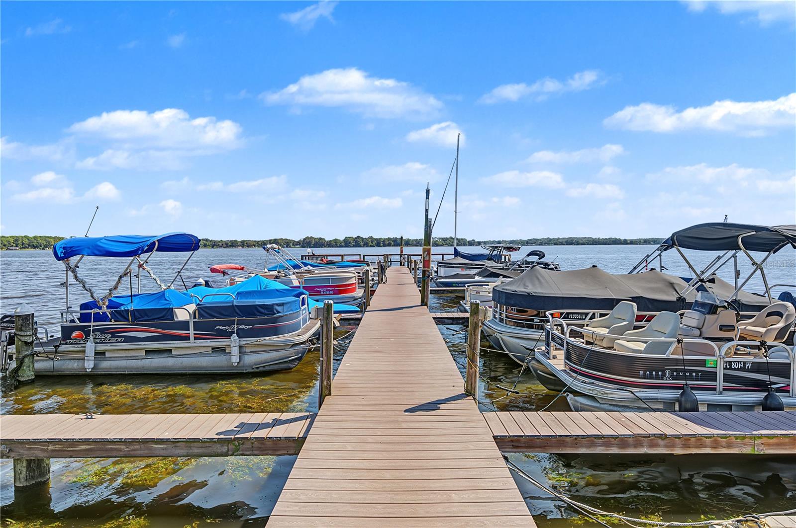 90 S HIGHLAND AVENUE, #1203, Tarpon Springs, FL 34689