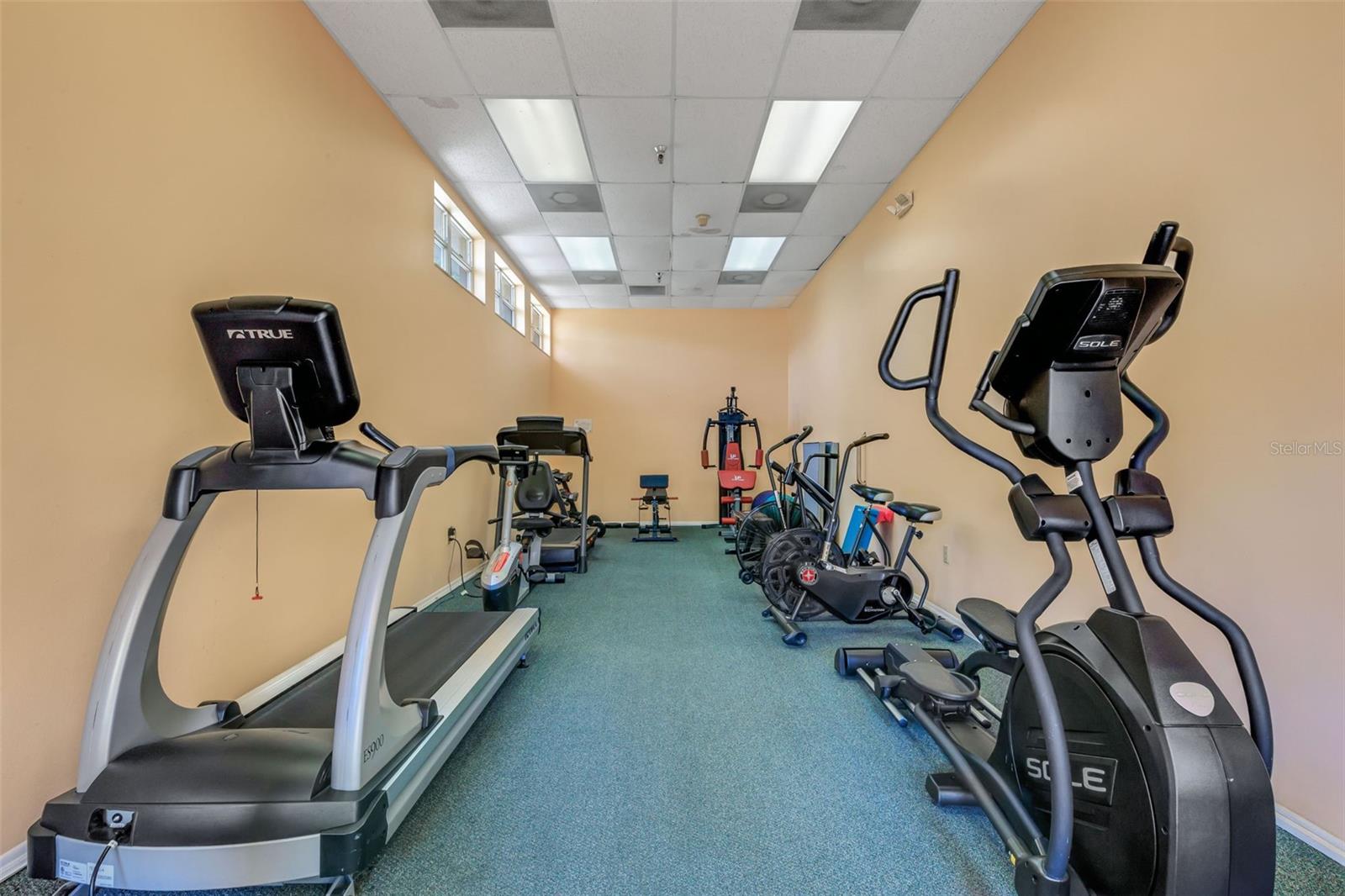 4460 FAIRWAYS BOULEVARD, #105, Bradenton, FL 34209