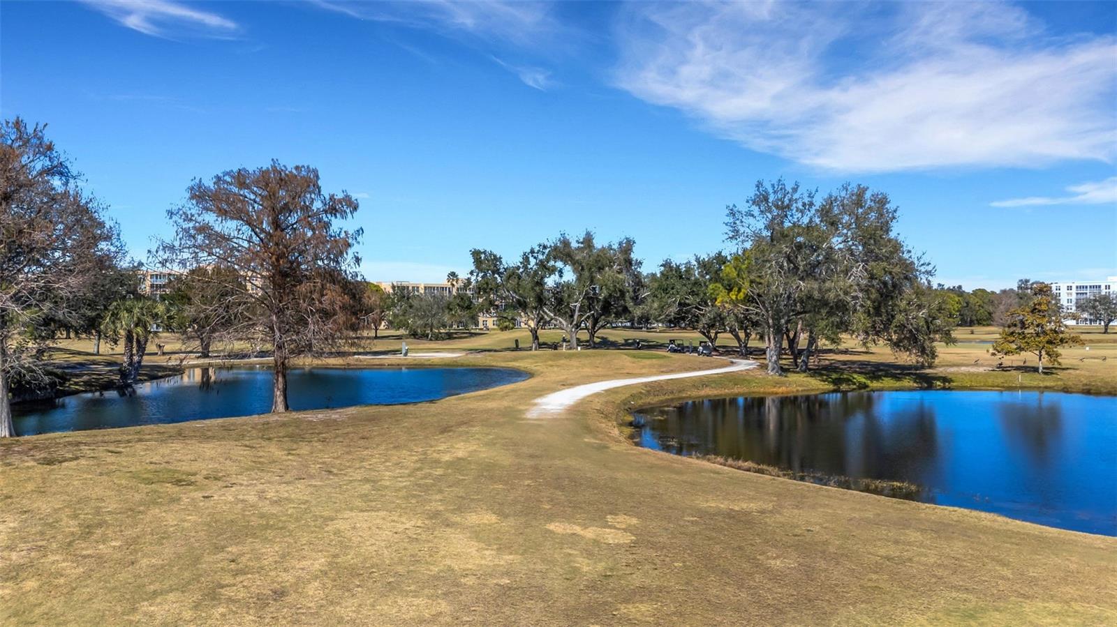 4460 FAIRWAYS BOULEVARD, #105, Bradenton, FL 34209