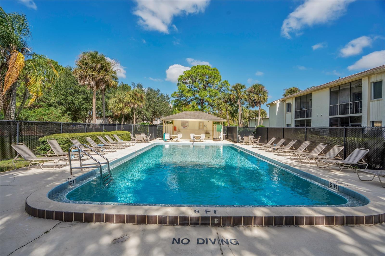 109 PINE COURT, #109, Oldsmar, FL 34677