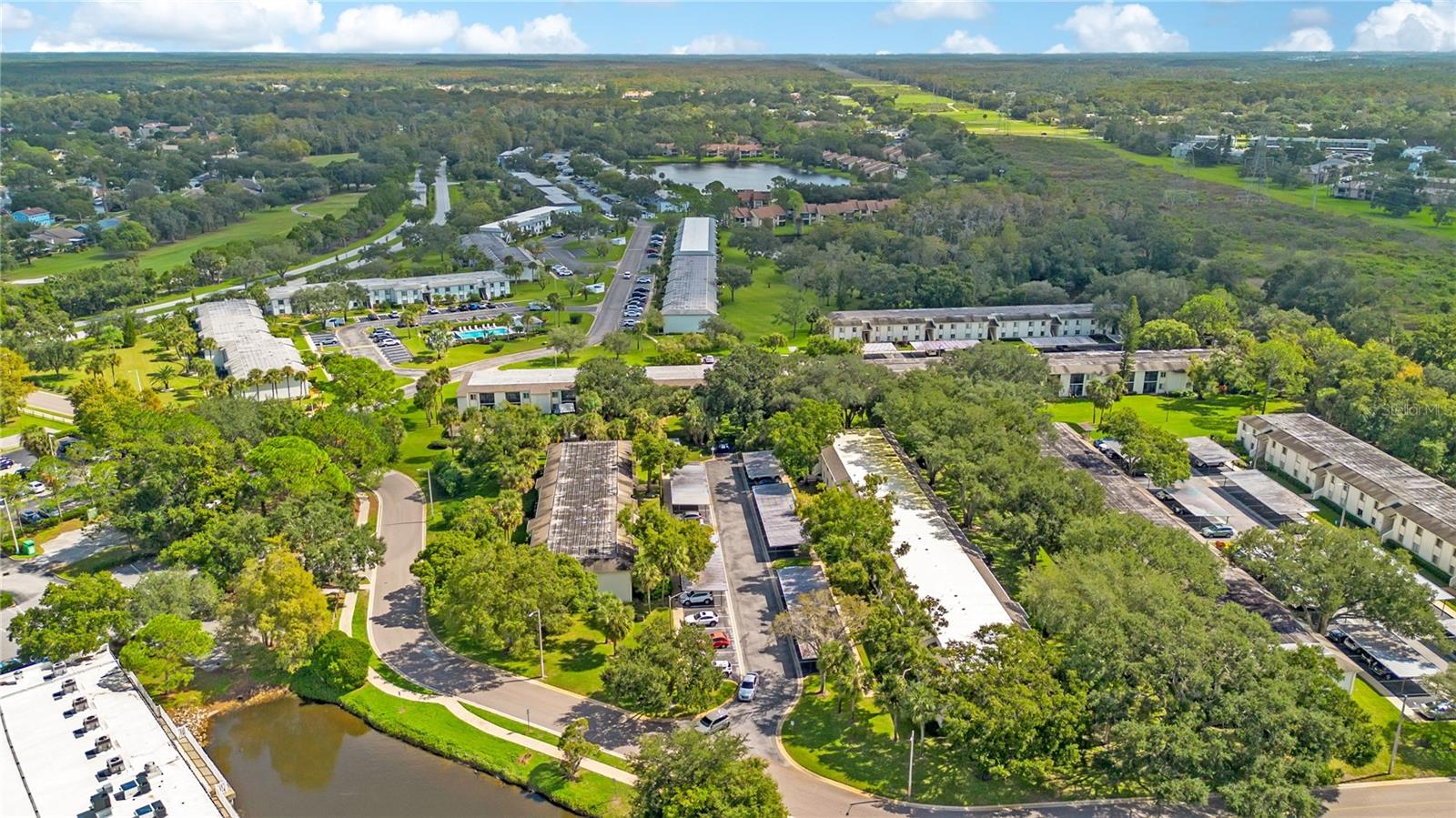 109 PINE COURT, #109, Oldsmar, FL 34677