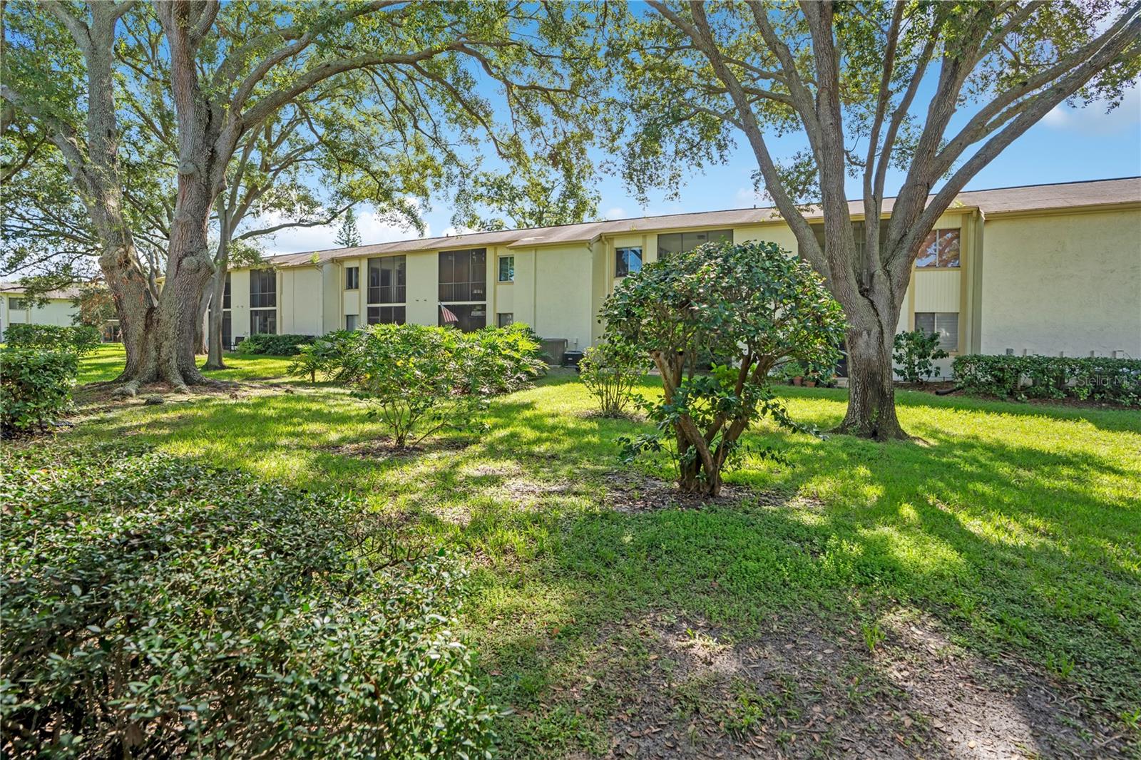 109 PINE COURT, #109, Oldsmar, FL 34677
