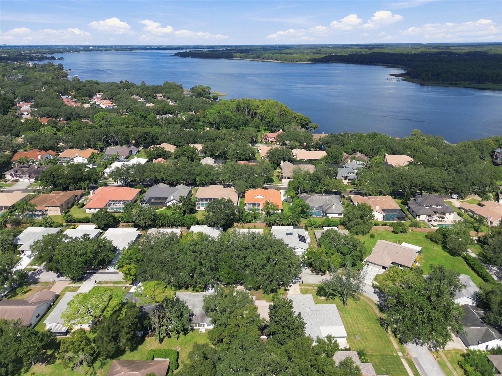 3554 OAK LAKE DRIVE, Palm Harbor, FL 34684