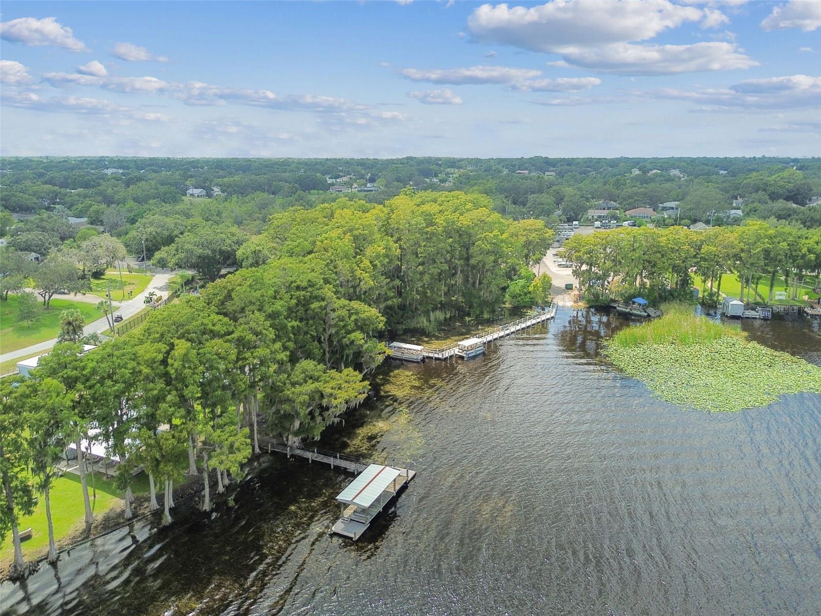 3554 OAK LAKE DRIVE, Palm Harbor, FL 34684