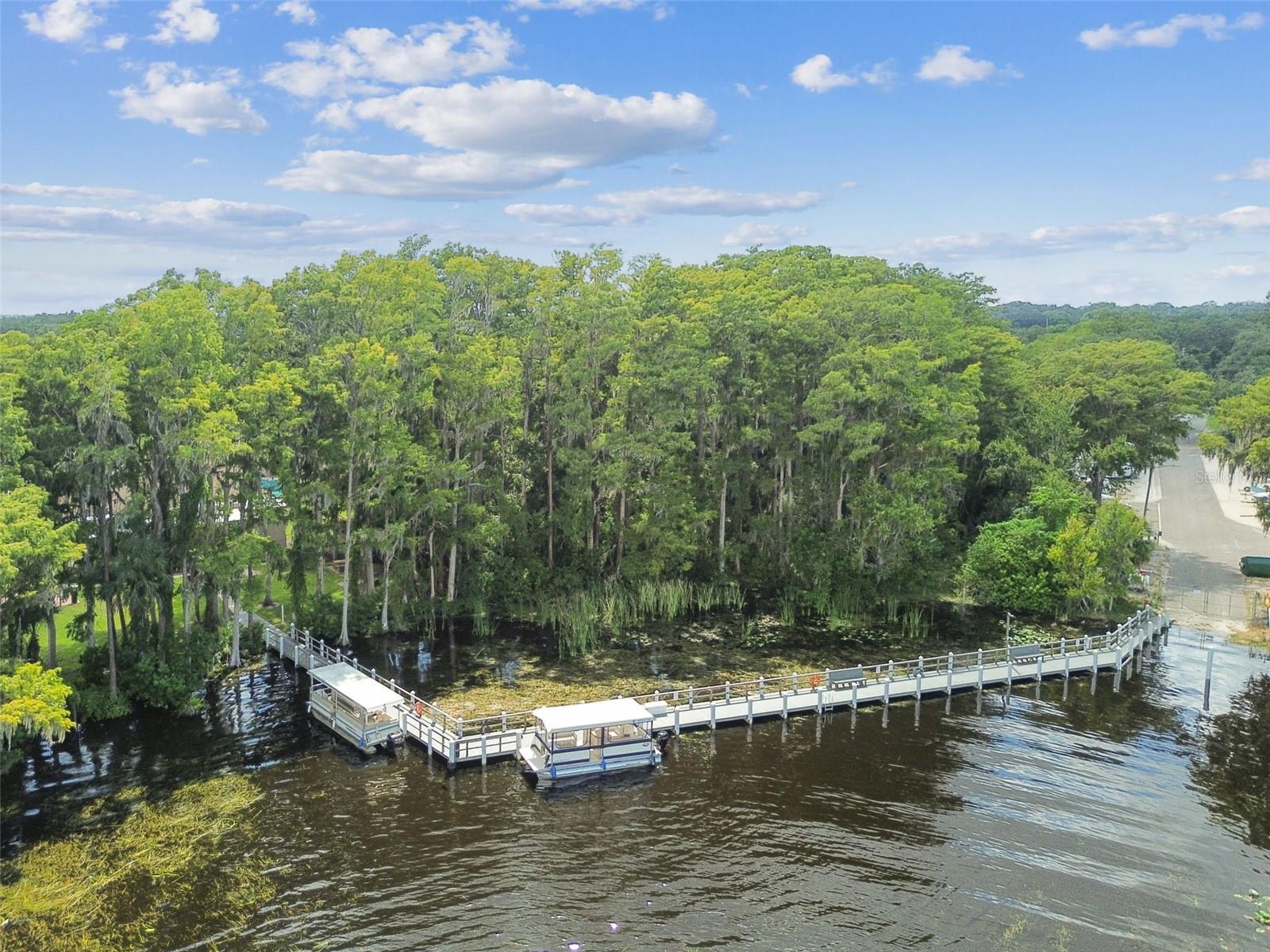 3554 OAK LAKE DRIVE, Palm Harbor, FL 34684