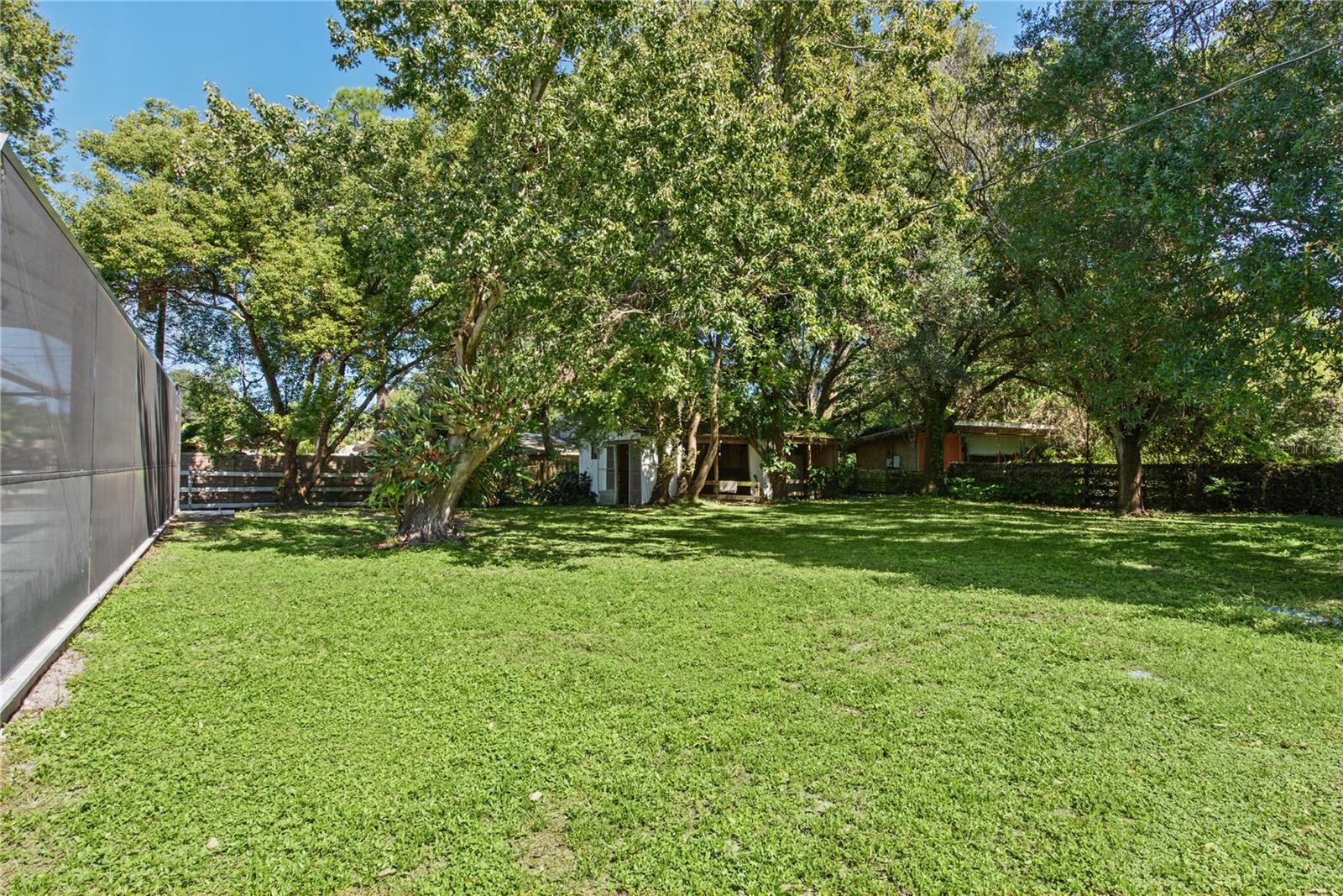 Backyard (1)