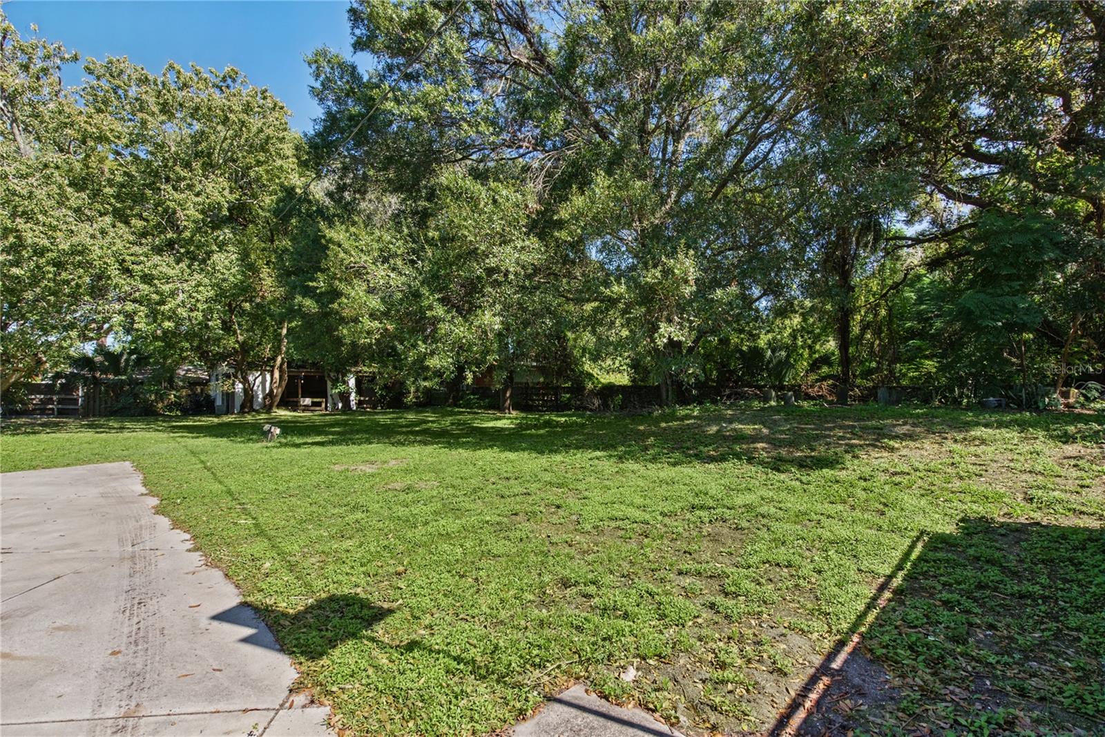 Backyard (2)