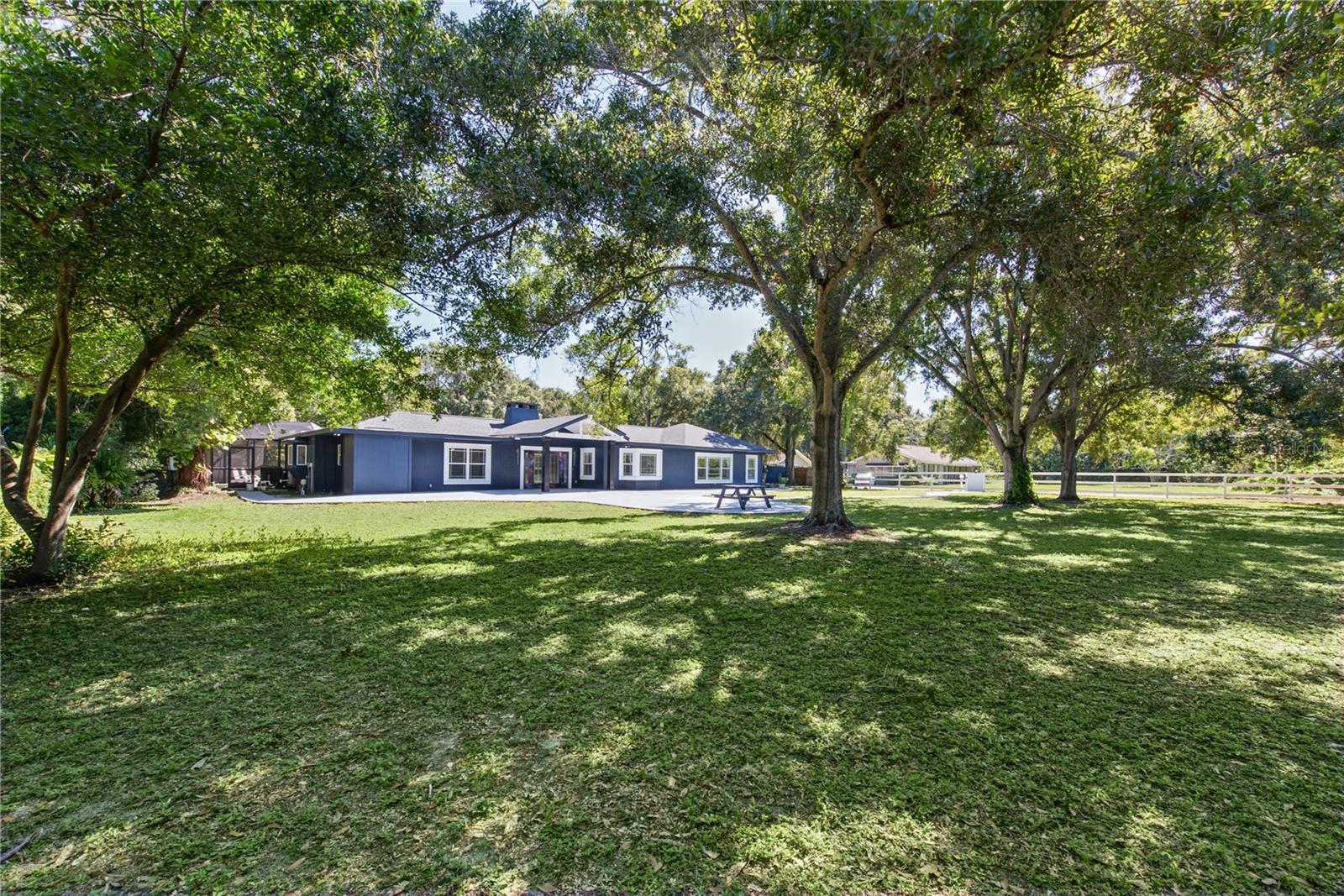 Front yard (1)
