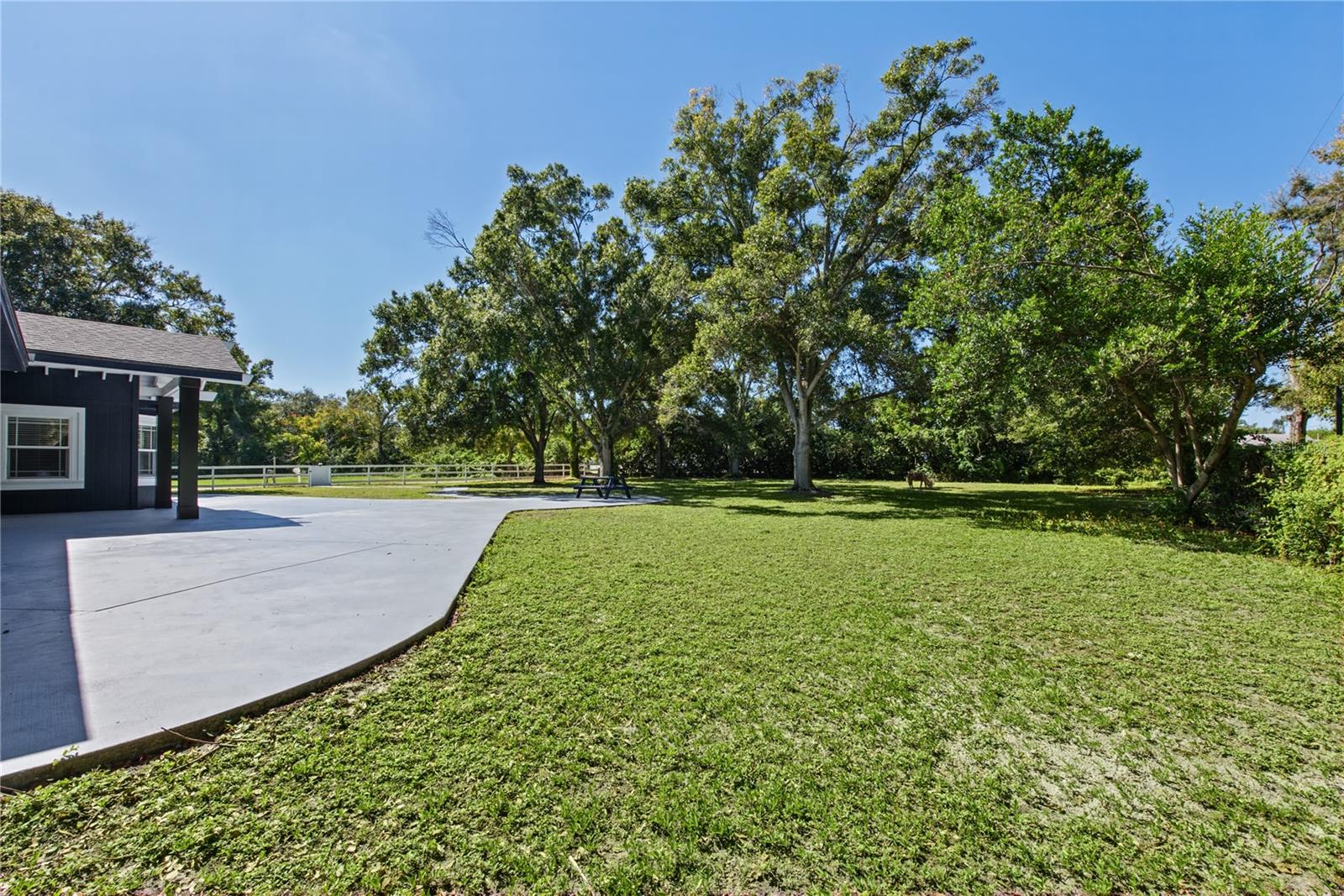 Front yard (4)