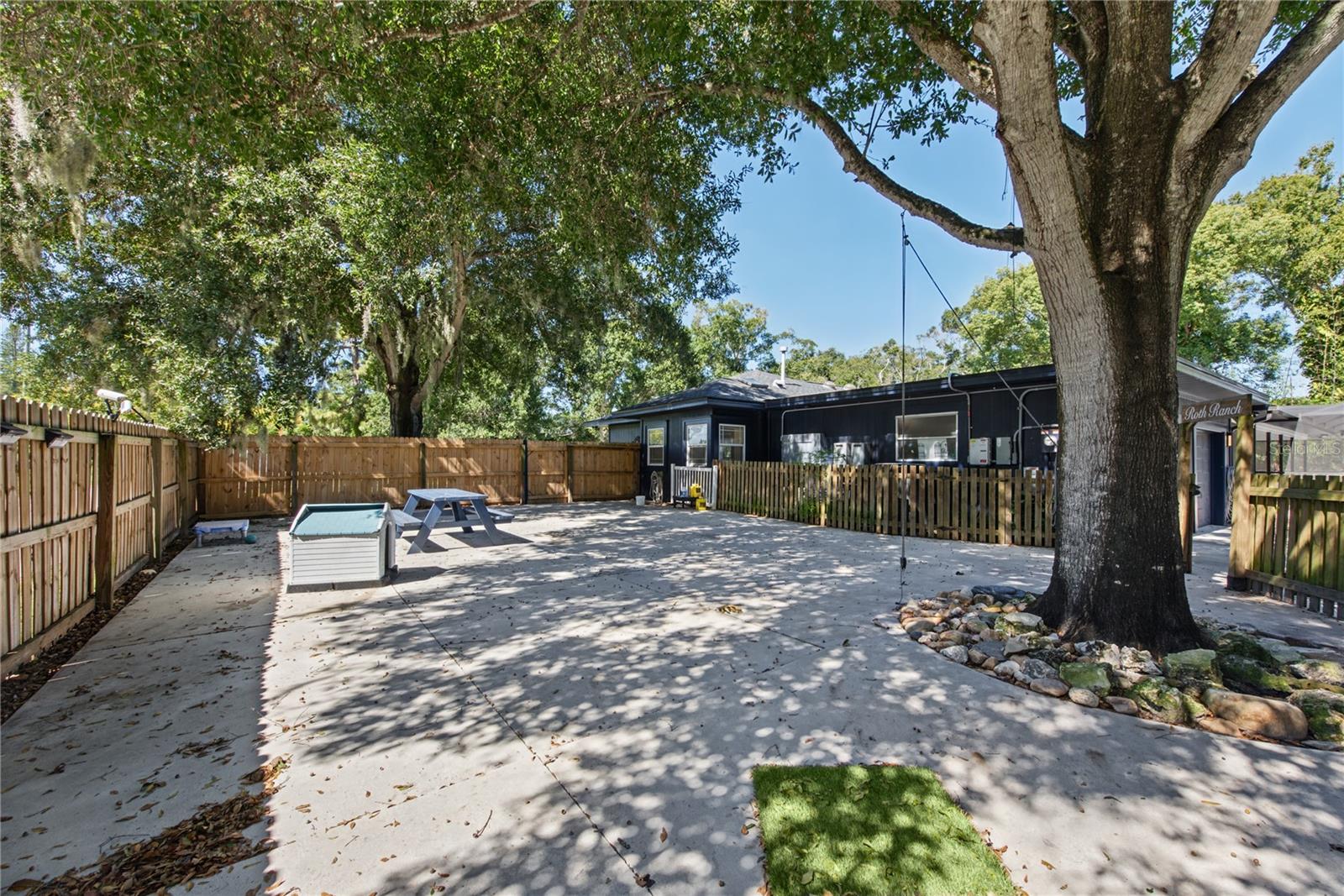 Patio / Dog run (3)