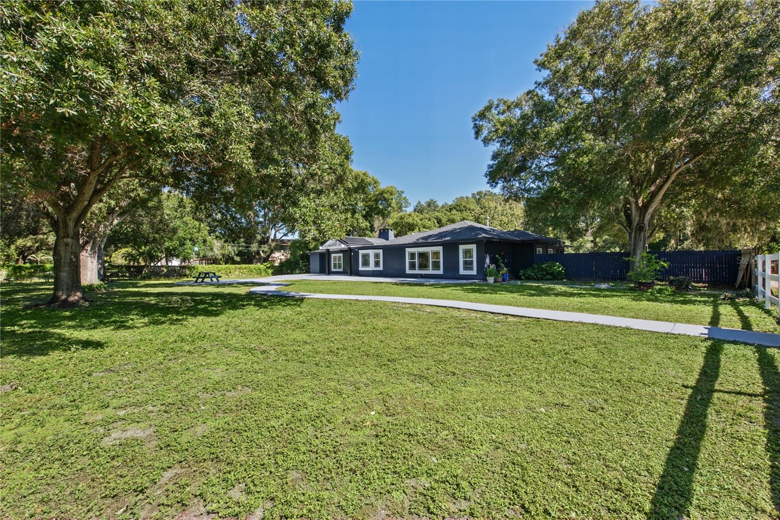 Front yard (5)