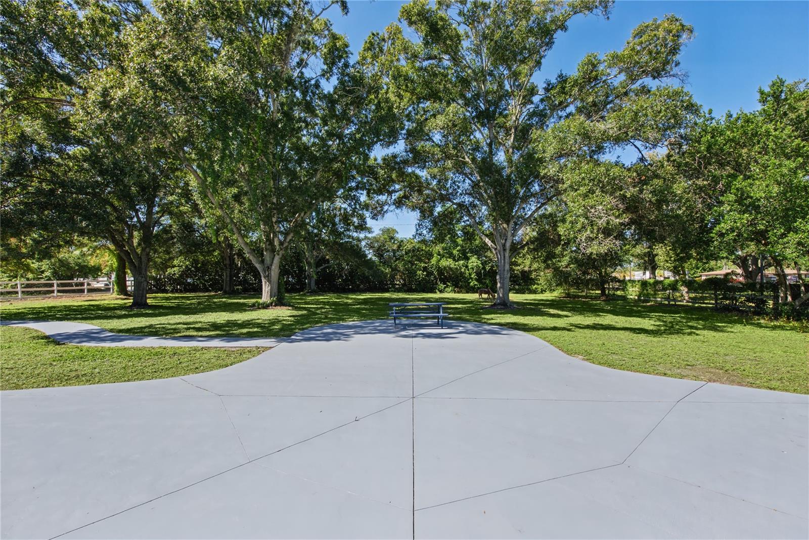 Front yard (7)