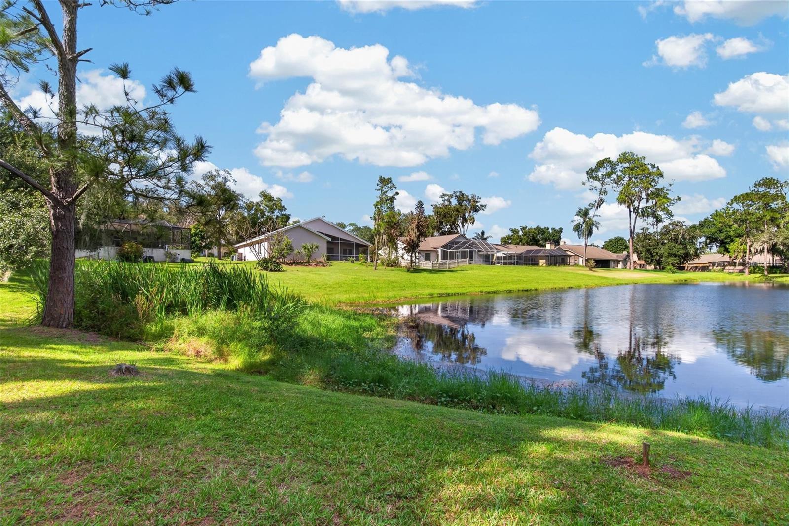 10120 SEDGEBROOK DRIVE, Riverview, FL 33569