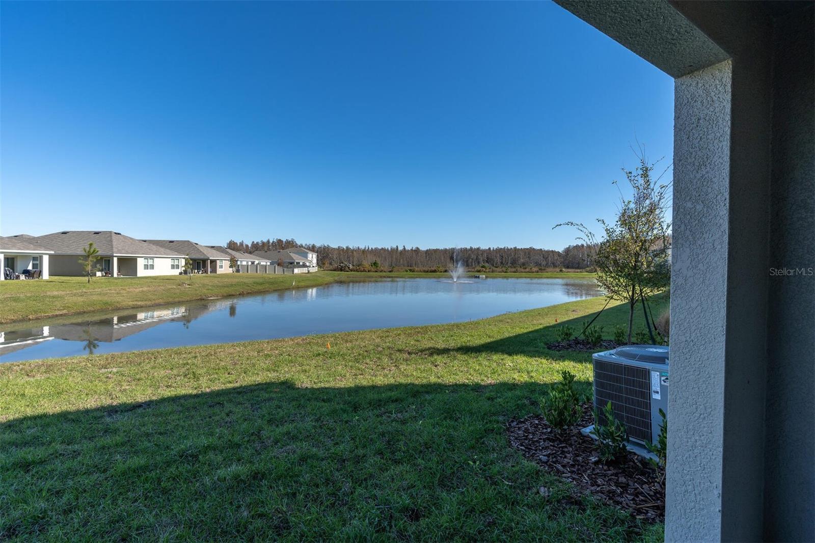 31989 BLUE PASSING LOOP, Wesley Chapel, FL 33545