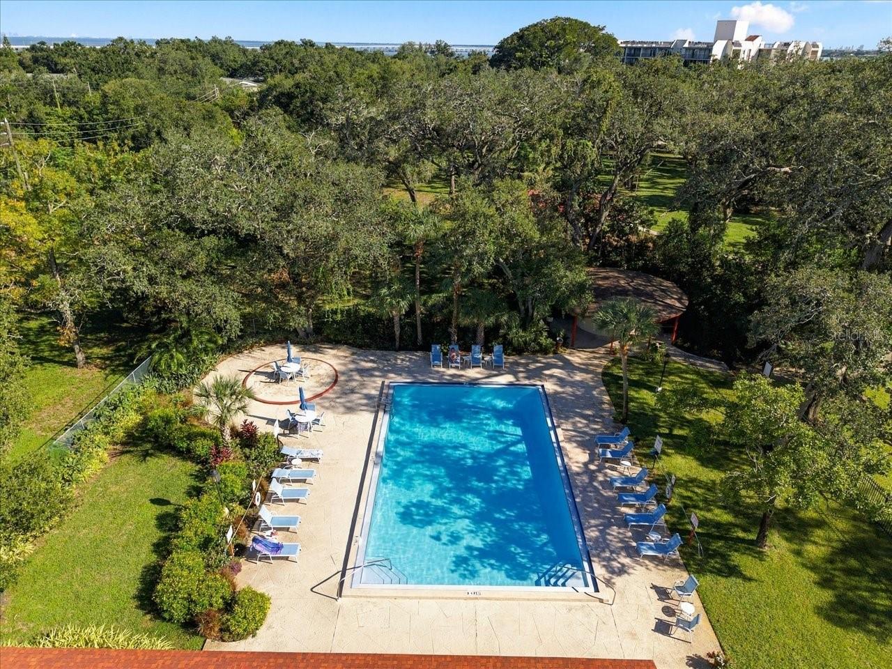 1001 PEARCE DRIVE, #111, Clearwater, FL 33764