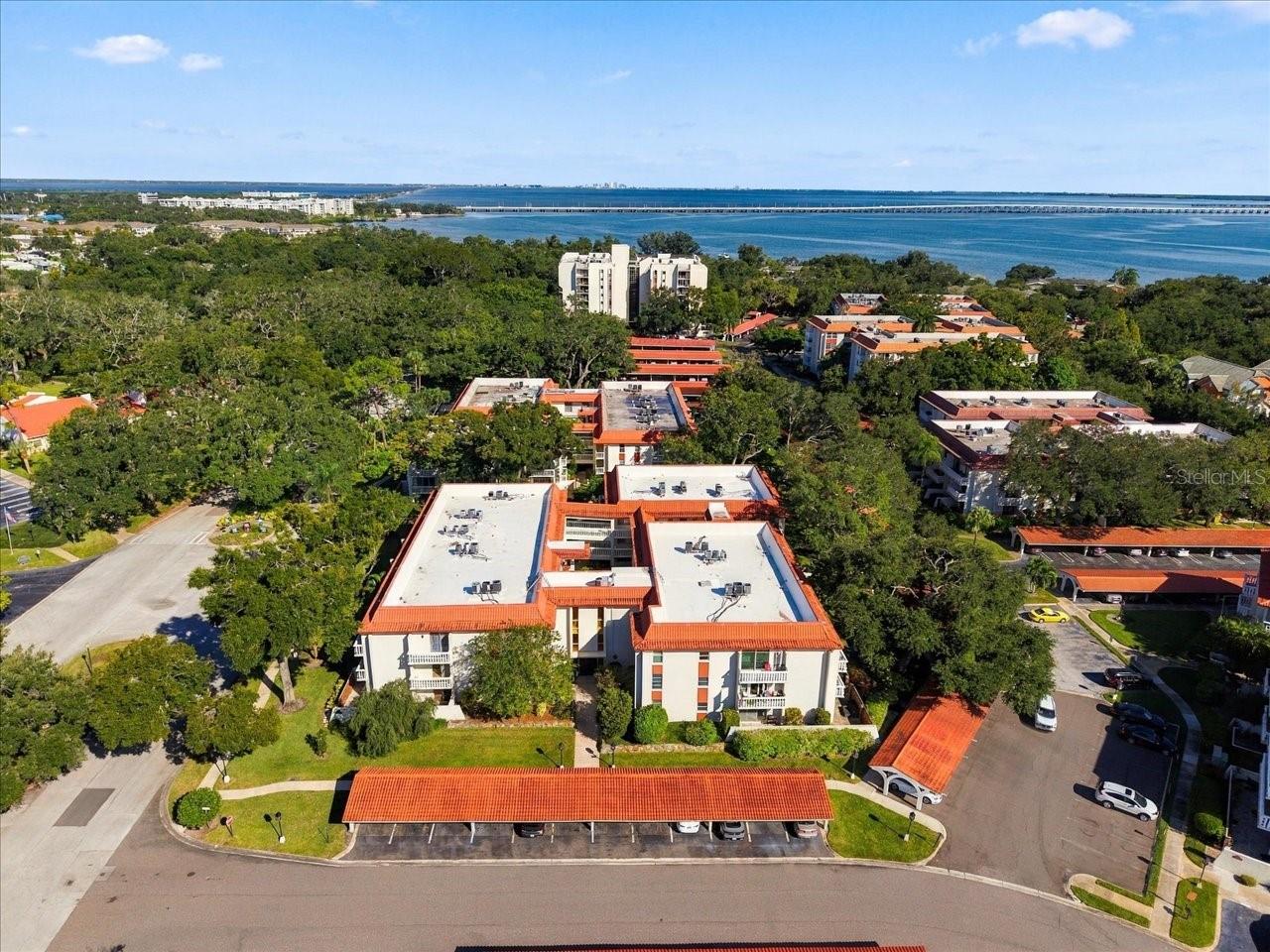 1001 PEARCE DRIVE, #111, Clearwater, FL 33764