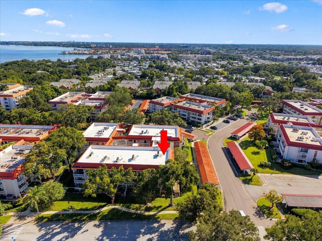 1001 PEARCE DRIVE, #111, Clearwater, FL 33764