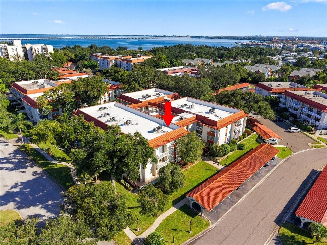 1001 PEARCE DRIVE, #111, Clearwater, FL 33764