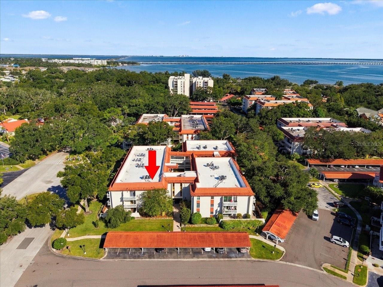 1001 PEARCE DRIVE, #111, Clearwater, FL 33764