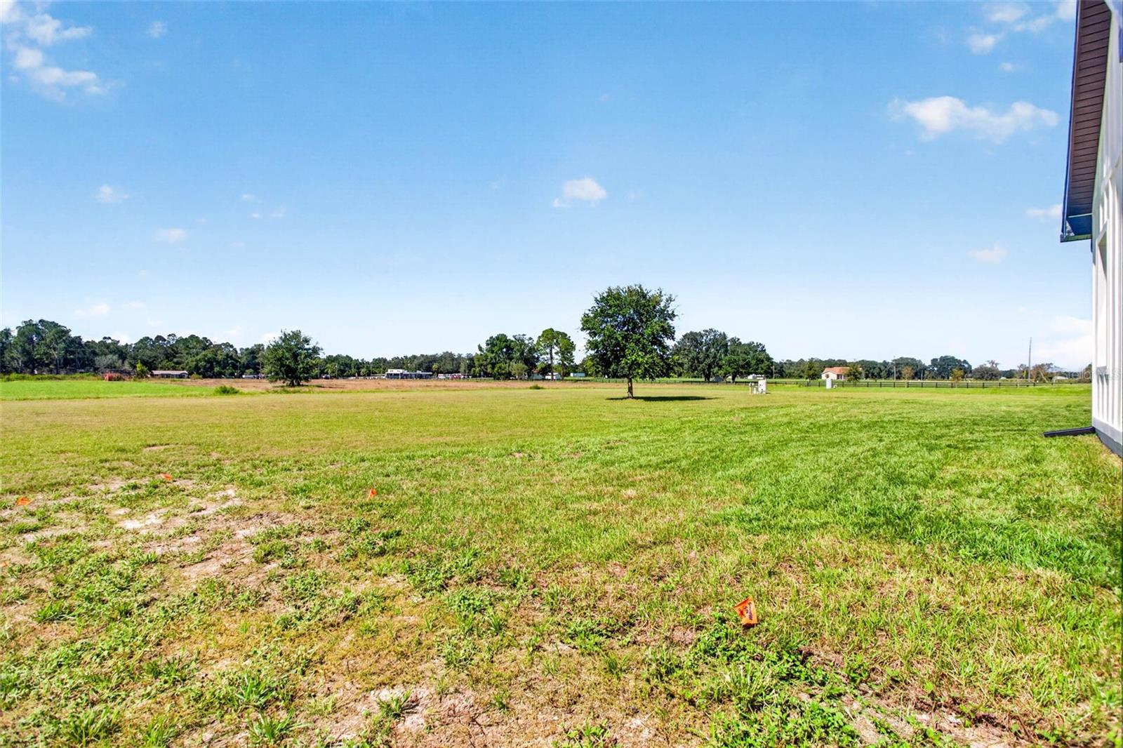 14927 CRIMSON OAKS TRAIL, Dade City, FL 33525